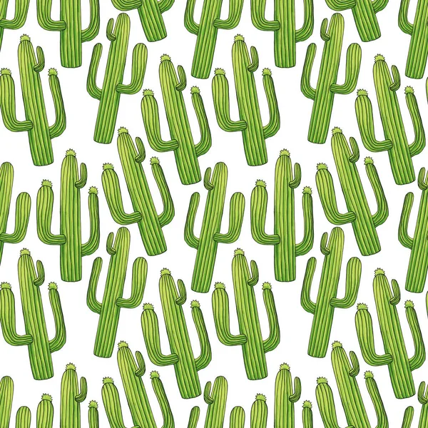 Green cactuses cartoon seamless pattern — Stock Vector