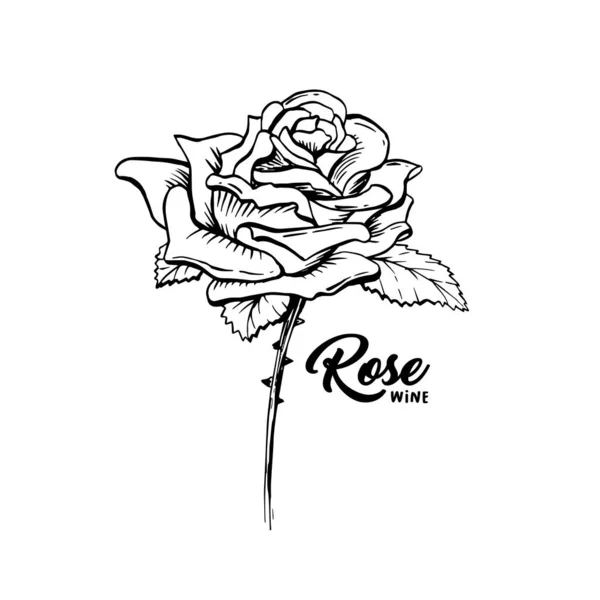 Ροζ λουλούδι χειροποίητα στυλό μελάνι εικόνα — Διανυσματικό Αρχείο