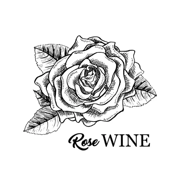 Rose Blume Hand gezeichnet Tusche Feder Illustration — Stockvektor