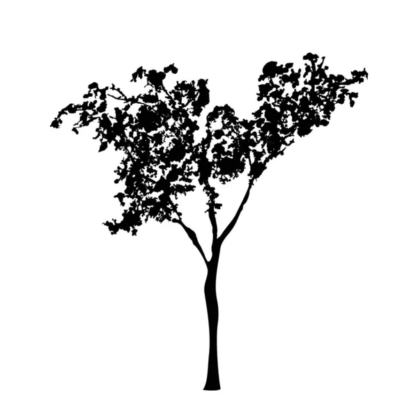 Grönt träd isolerad på vit bakgrund — Stock vektor