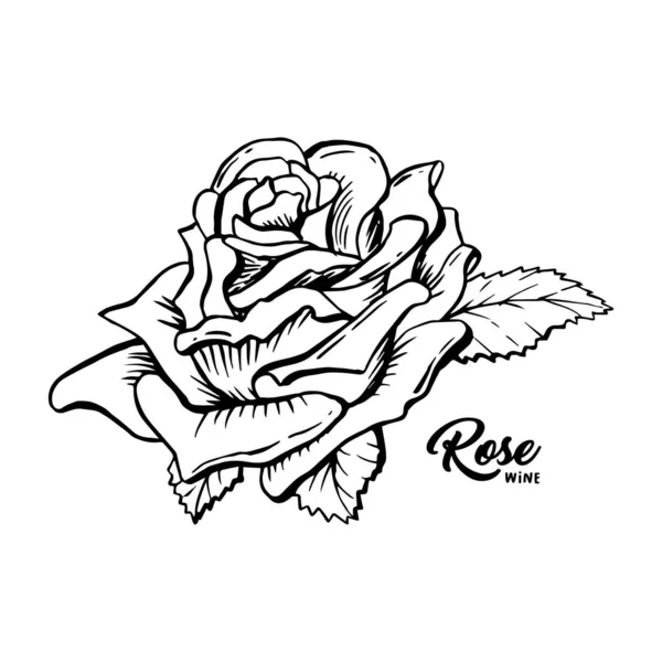 Τριαντάφυλλο κρασί λουλούδι χέρι ζωγραφισμένα στυλό μελάνι εικόνα — Διανυσματικό Αρχείο