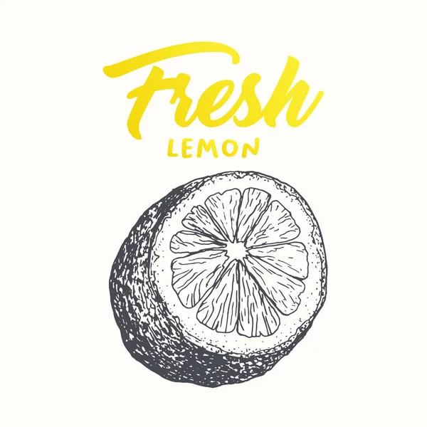 Design de banner vetorial de limão fresco — Vetor de Stock