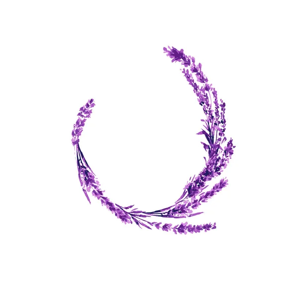ラベンダーの花丸みぐり 水彩イラスト — ストックベクタ