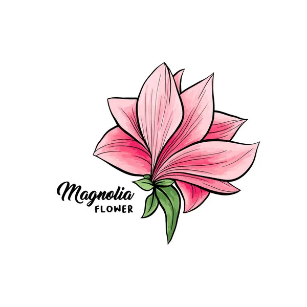 Magnolia blommor handritade illustration — Stock vektor