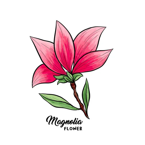 Magnolia flores ilustración dibujada a mano — Vector de stock