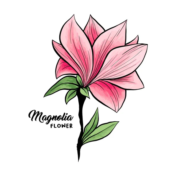 Magnolia fiori disegnato a mano illustrazione — Vettoriale Stock