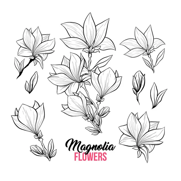 Magnolia fleurs dessinées à la main illustrations ensemble — Image vectorielle