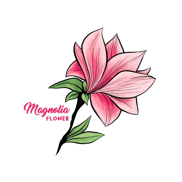 Magnolia blommor handritade illustration — Stock vektor