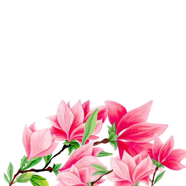 Bukiet Kwiatów Magnolii Kwiat Piękny Wystrój Projektowanie Wnętrz Wektor Ilustracja — Zdjęcie stockowe