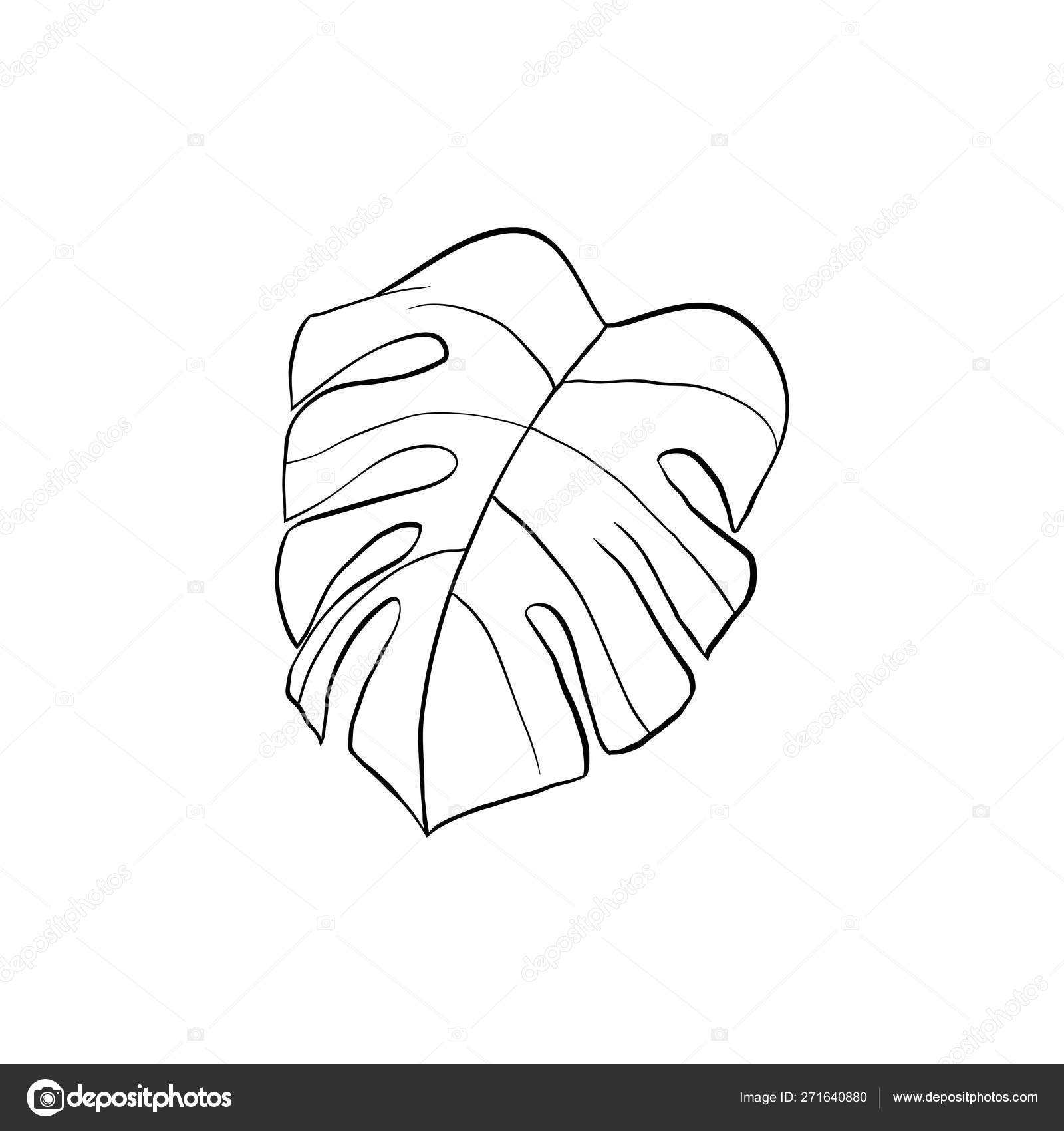 Philodendron Plant Leaf Outline Illustration Vector Image By C Ilonitta Vector Stock Philodendron Plant Leaf Outline Illustration Vector Image By C Ilonitta Vector Stock