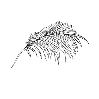 Avuç içi çizim vektör illüstrasyon yaprakları