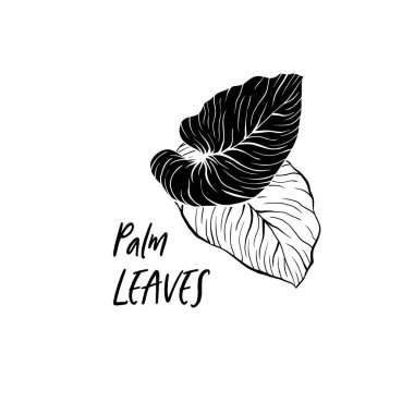 Palmiye muz siyah mürekkep vektör clipart bırakır