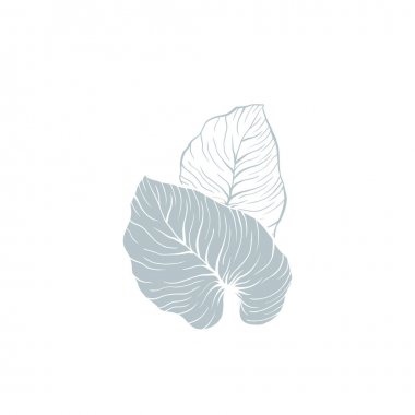 Philodendron, monstera vektör illüstrasyon bırakır