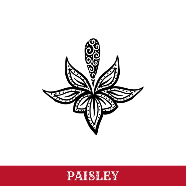 Paisley motifleri mürekkep kalem vektör izole illüstrasyon — Stok Vektör