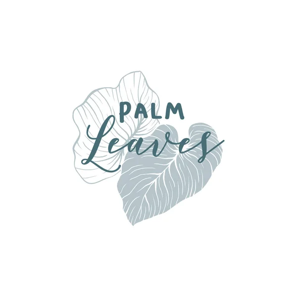 Palm löv handritade vektor logotyp mall — Stock vektor