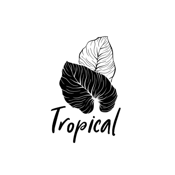 Modèle de logotype dessiné à la main feuilles de palmier — Image vectorielle