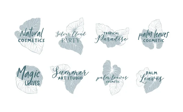 Palm feuilles logo design collection — Image vectorielle