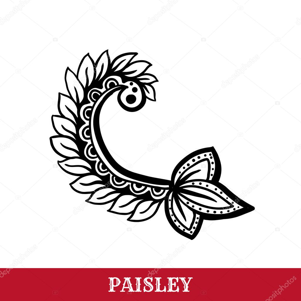 Paisley motifs ink pen vector isolated illustration