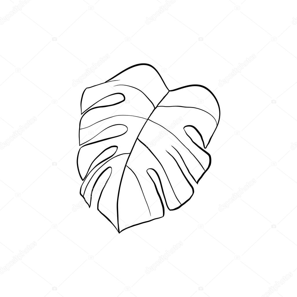 Featured image of post Outline Drawing Outline Succulent Clipart A one line contour drawing of michelangelo s david as a bust