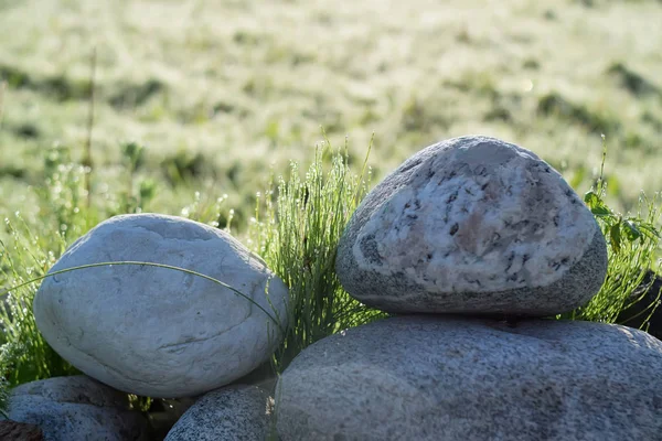 Morgen Tau Steine Gras Schöner Rahmen Natur Russlands — Stockfoto