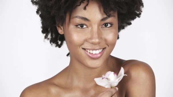 魅力的なアフリカ系アメリカ人女の子持株蘭 笑みを浮かべて 顔と白い花の肩に触れる — ストック動画