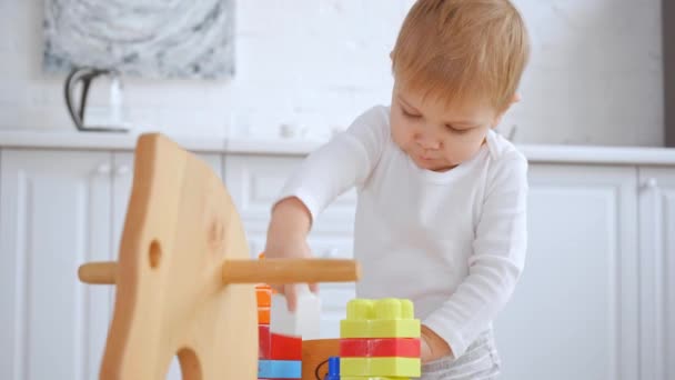 Konzentrierter Kleinkind Junge Spielt Mit Plastikbausteinen Auf Schaukelpferd — Stockvideo