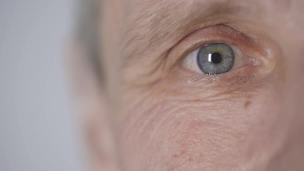 カメラを見ている中年の男性のクロップされたビュー 眉を上げて 灰色で孤立した点滅 — ストック動画