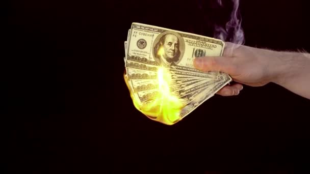 Обрезанный Вид Человека Горящие Долларовые Купюры Зажигалкой Изолированы Черном Копировальным — стоковое видео