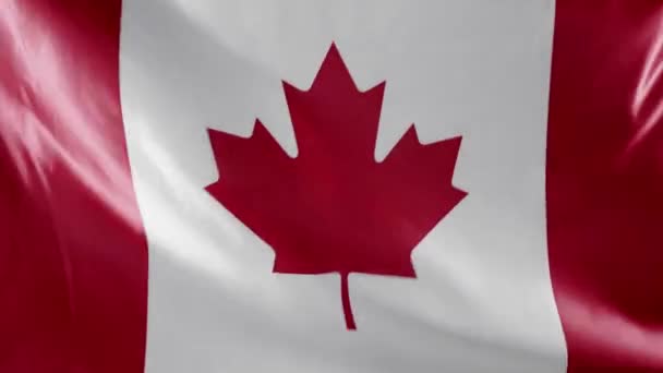 Top View Waving National Canadian Flag Copy Space — Stock Video