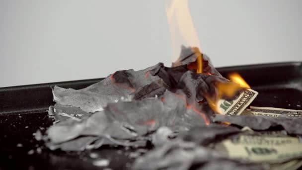 Селективний Фокус Горіння Доларових Банкнот Ізольовано Сірому — стокове відео