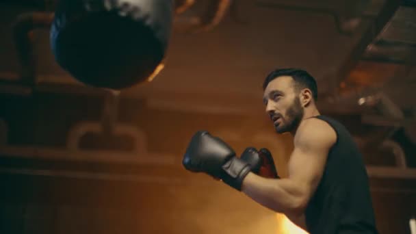 Vue Angle Bas Boxeur Musculaire Dans Entraînement Des Gants Boxe — Video
