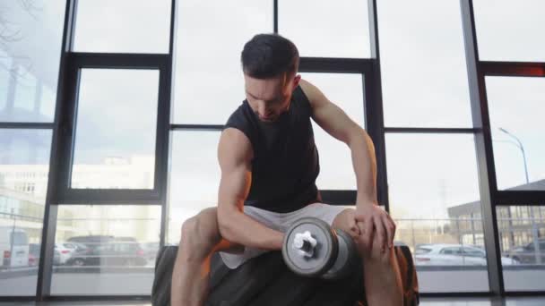 Concentrated muscular sportsman in white shorts doing biceps curls with dumbbell — Stock Footage Concentrated Muscular Sportsman White Shorts Doing Biceps Curls Dumbbell Stock Footage