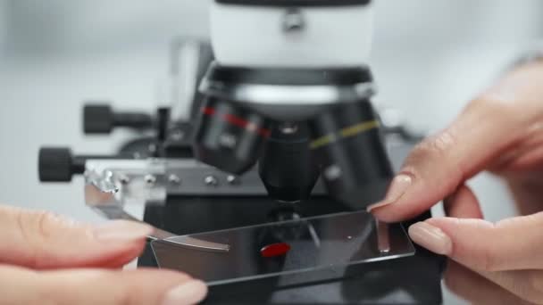 Wykadrowany Widok Naukowca Umieszczenie Próbki Krwią Mikroskopie — Wideo stockowe