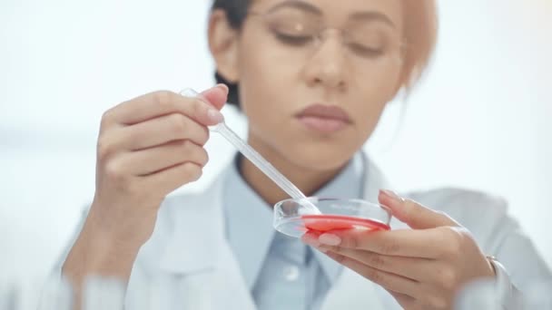 血液サンプルを見る眼鏡におけるアフリカ系アメリカ人科学者の選択的焦点 — ストック動画