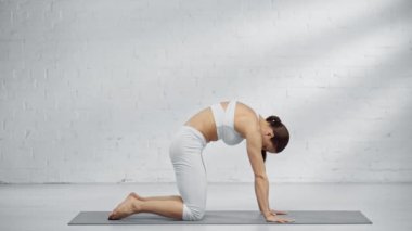 bitilasana ve marjaryasana pratik kadının yan görünümü, tahta ve abs yapıyor