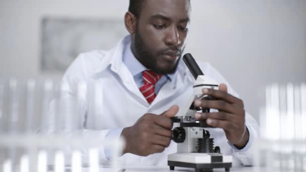 Cientista Afro Americano Atencioso Fazendo Análise Com Microscópio Laboratório — Vídeo de Stock