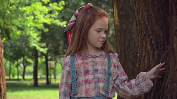 Cute Redhead Child Walking Tree Trunks Park — Stock Video