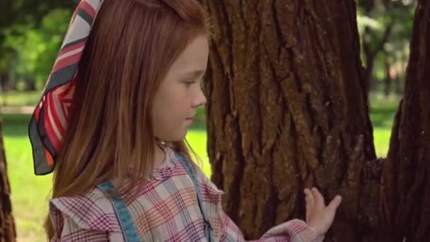 Lindo Pelirroja Niño Tocando Árbol Troncos Parque — Vídeos de Stock