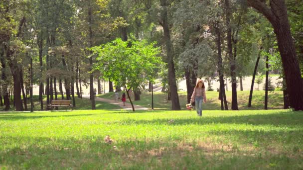可爱的孩子走在绿色阳光明媚的公园与鲜花 — 图库视频影像