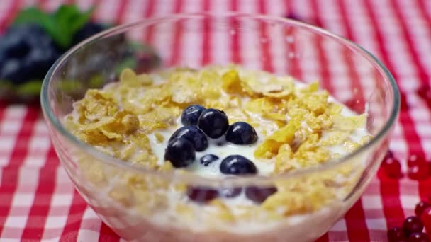 Fokus Selektif Blueberry Jatuh Dalam Mangkuk Dengan Cornflakes Dan Susu — Stok Video