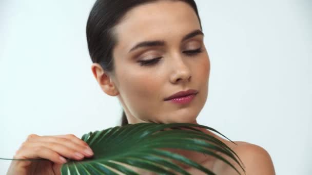 Schöne Nackte Frau Hält Blatt Tropischer Pflanze Auf Grauem Hintergrund — Stockvideo