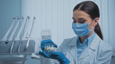 Tıbbi maskedeki dişçi klinikteki diş modelini işaret ediyor.