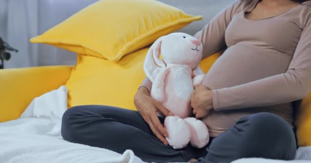 Pemandangan Wanita Hamil Memegang Mainan Lembut Dan Menyentuh Perut Rumah — Stok Video