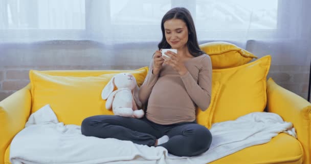 妊婦飲むお茶近く柔らかいおもちゃオンソファ — ストック動画
