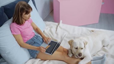 Golden Retriever 'ın yatağındaki evde çalışan serbest çalışanın yüksek açılı görüntüsü