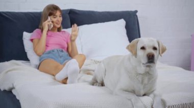 Golden Retriever 'ın seçici odağı yatakta akıllı telefondan konuşan bir kadınla.