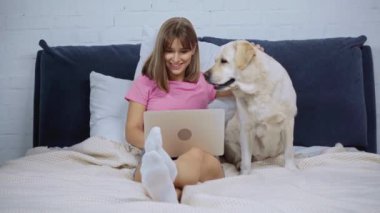 Yatakta Golden Retriever 'ın yanında dizüstü bilgisayar kullanan serbest çalışan biri.