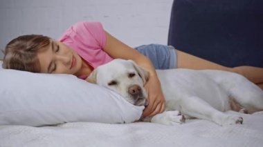 Golden Retriever Uykulu kadının yüzünü yalıyor