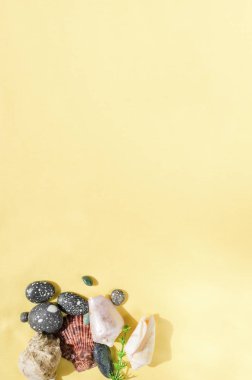 Sarı arka planda deniz kabuğu, çakıl ve deniz otu düz yatıyordu. Gezi ve seyahat planlaması konsepti. Yaz geçmişi