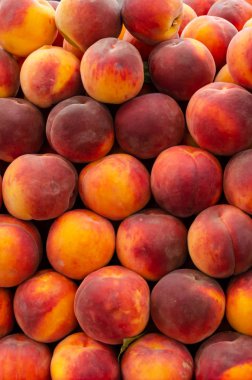 Taze olgun sulu şeftali arka plan. Closeup. Yaz hasat konsepti